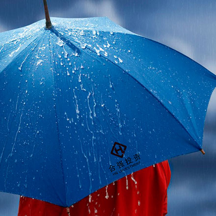 VI公司作品案例展示