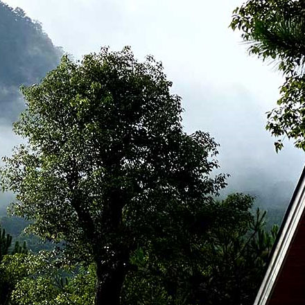 江山公司的vi設(shè)計(jì)公司