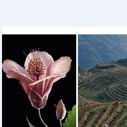 深圳品牌設計作品案例展示