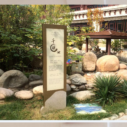 如何通過運動與健身網站設計吸引更多的會員和用戶？